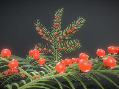 Lush Green Foliage With Vibrant Red Berries Decorative Plant For Home Decoration 3d model