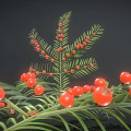 Lush Green Foliage With Vibrant Red Berries Decorative Plant For Home Decoration