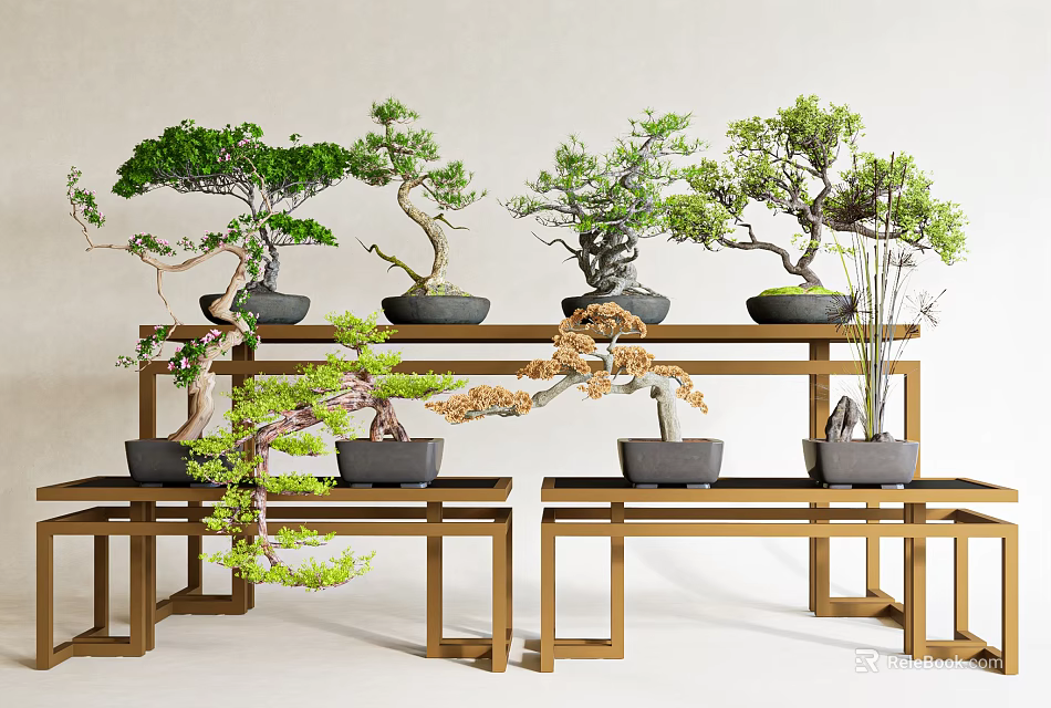 Varied Bonsai Plants Displayed on Wooden Stands with Green Foliage and Ceramic Pots 3d model 