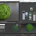 Spherical Green Bush With Lush Leafy Foliage In Round Shape Design