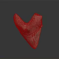 Fossilized Triangular Tooth With Brown Red Texture And Glossy Base On Dark Background