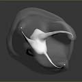 Transparent Rabbit Head Model With Long Ears Smooth Surface And Dark Background 3d model