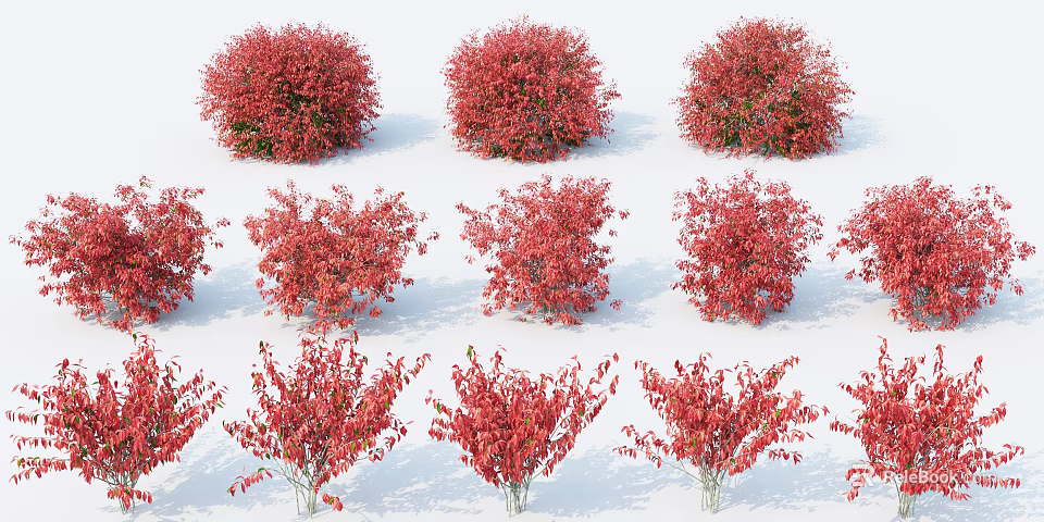 Red Shrub Varieties With Diverse Shapes And Foliage For Garden Decoration 3d model 