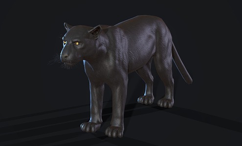 Black Panther Leopard 3d model