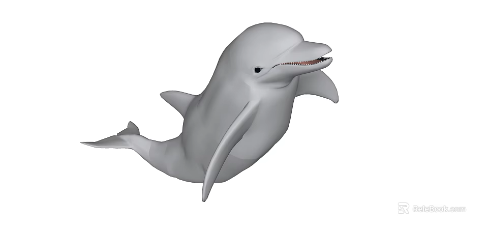 Gray Dolphin With Streamlined Body Open Mouth And Sharp Teeth In Water 3d model