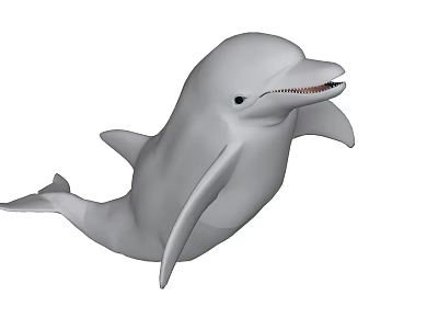 Modern Dolphin Animal Dolphin 3d model