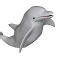 Gray Dolphin With Streamlined Body Open Mouth And Sharp Teeth In Water 3d model