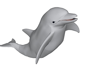 Modern Dolphin Animal Dolphin 3d model