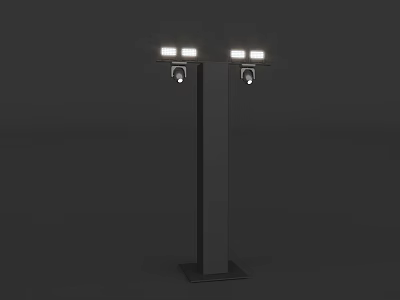 Modern Outdoor Lighting Combination On Black Pole With Two Illuminated Lamps 3d model