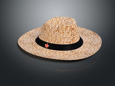 Modern Hat Summer Straw Hat Straw Hat Women's Straw Hat model