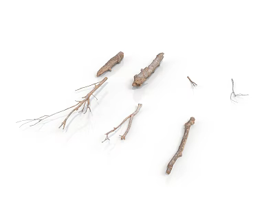 Collection of Natural Wooden Branches In Various Shapes And Sizes On White Background 3d model