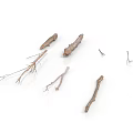 Collection of Natural Wooden Branches In Various Shapes And Sizes On White Background
