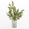 Elegant Decorative Ornament Set With Green Plants Stacked Books Glass Vases Candles And Wooden Tray