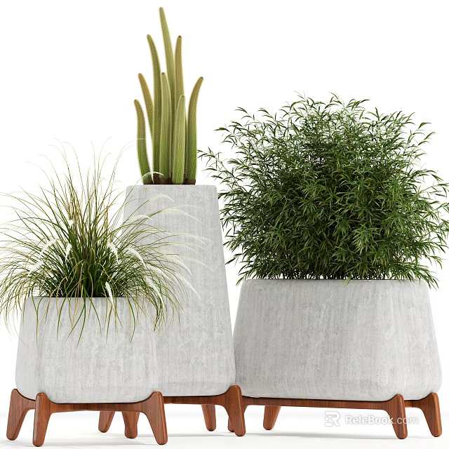Variety of Bonsai Potted Plants With Concrete Planters and Grass Bamboo Shrub 3d model 