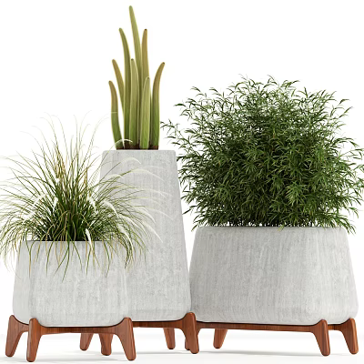 Variety of Bonsai Potted Plants With Concrete Planters and Grass Bamboo Shrub 3d model