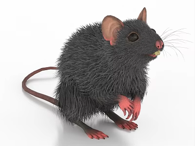 Gray Furry 3D Mouse Standing With Pink Paws And Ears 3d model
