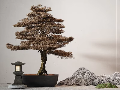 Artistic Bonsai Tree with Stone Lantern and Rockery Stones in Zen Style Garden Setting 3d model