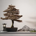 Artistic Bonsai Tree with Stone Lantern and Rockery Stones in Zen Style Garden Setting
