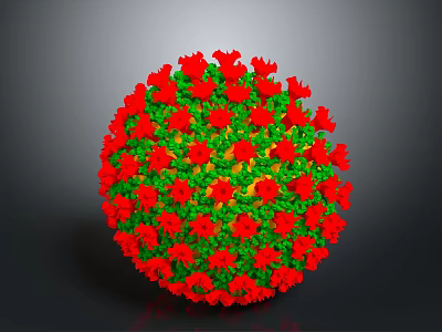 Anatomical Organ Structure With Hair Like Projections In Red And Green Colors 3d model