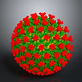 Anatomical Organ Structure With Hair Like Projections In Red And Green Colors