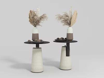 Modern Side Tables with White Base Black Top and Pampas Grass Vases Decorative Nuts 3d model