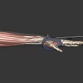 Anatomical Mechanical Hand With Detailed Muscle Structure And Prosthetic Device Components 3d model