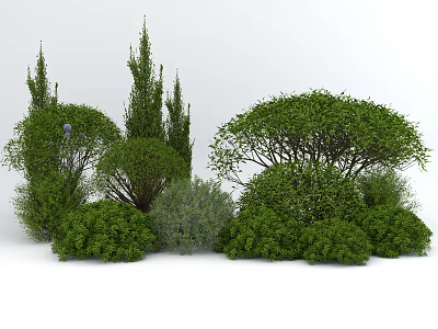 Diverse Shaped Green Shrubs Including Spherical and Conical Forms With Lush Foliage 3d model