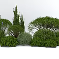 Diverse Shaped Green Shrubs Including Spherical and Conical Forms With Lush Foliage