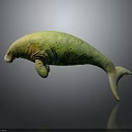 3D Rendered Green Manatee With Spotted Skin On Grey Background And Surface Reflection