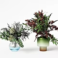Transparent Vase With Water Green White Blooms And Green Gradient Vase Dark Green Brown Foliage