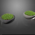 Garden Decorative Ornaments With Circular Containers Green Grass And Water Ripples