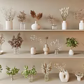 Decorative Ceramic And Glass Vases With Dried Plants And Green Foliage On Shelves
