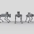 Intelligent Quadruped Robots With Gray Bodies Camera Systems And Mechanical Structures