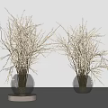 Two Transparent Glass Vases With White Flower Branches On Wooden Bases And Grey Background