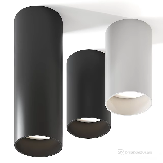 Modern Minimalist Downlights And Spotlights In Black And White Home Lighting Design 3d model 