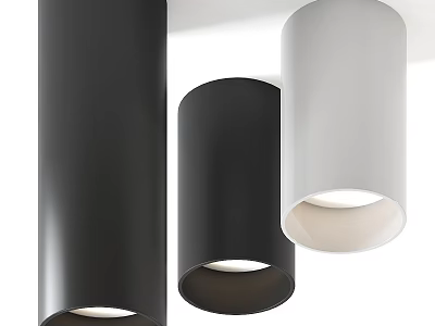 Modern Minimalist Downlights And Spotlights In Black And White Home Lighting Design 3d model