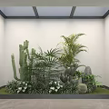 Indoor Garden with Cactus Palm Succulents Stone Grass and Glass Skylight White Wall