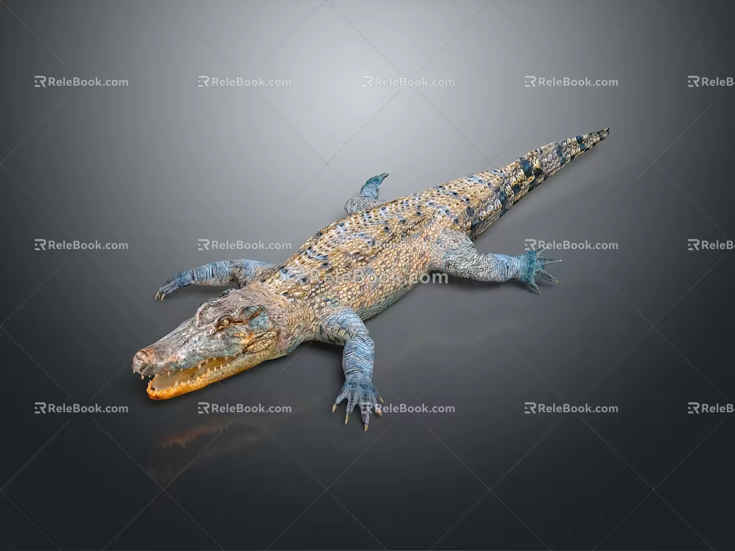 Crocodile Alligator Nile Crocodile carnivore reptile cold-blooded animal reptile 3d model
