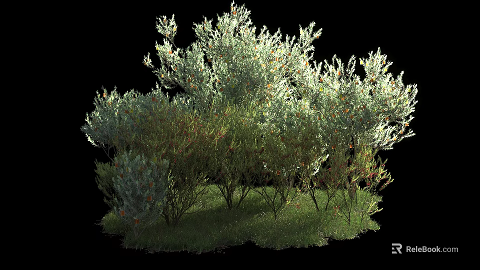 Lush Green Shrubs with Dense Foliage and Small Orange Berries Growing on Grass 3d model 