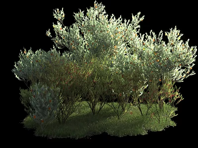 Lush Green Shrubs with Dense Foliage and Small Orange Berries Growing on Grass 3d model