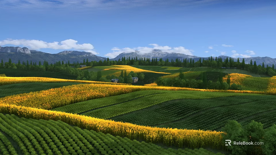 Beautiful Landscape With Blue Sky White Clouds Mountains Yellow Flower Fields And Green Terraced Fields 3d model 