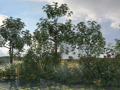 Flowering Trees By Water With Green Grass And Plants Under Cloudy Sky 3d model