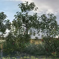 Flowering Trees By Water With Green Grass And Plants Under Cloudy Sky