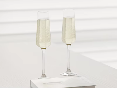 Decorative Ornament Set with Two Champagne Glasses Filled with Champagne Placed on White Book 3d model