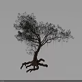 Tree With Lush Green Leaves And Exposed Roots Against Gray Background
