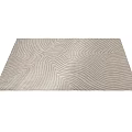 Modern styling carpet 3d model