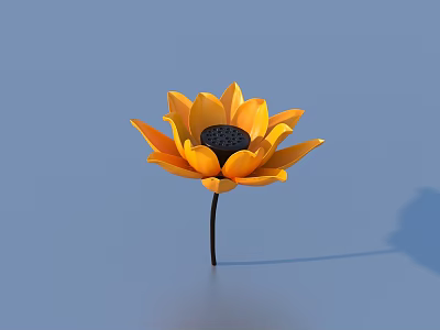 Yellow Sunflower With Yellow Petals Black Center Black Stem On Light Blue Background And Shadow 3d model