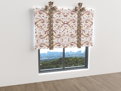 Modern Curtains model