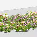 Colorful Flowers and Plants with Colorful Blooms Green Leaves Arranged in a Row on White Background
