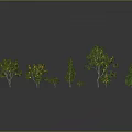 Various Types of Trees With Fruits Different Sizes Shapes Gray Background Reflective Ground